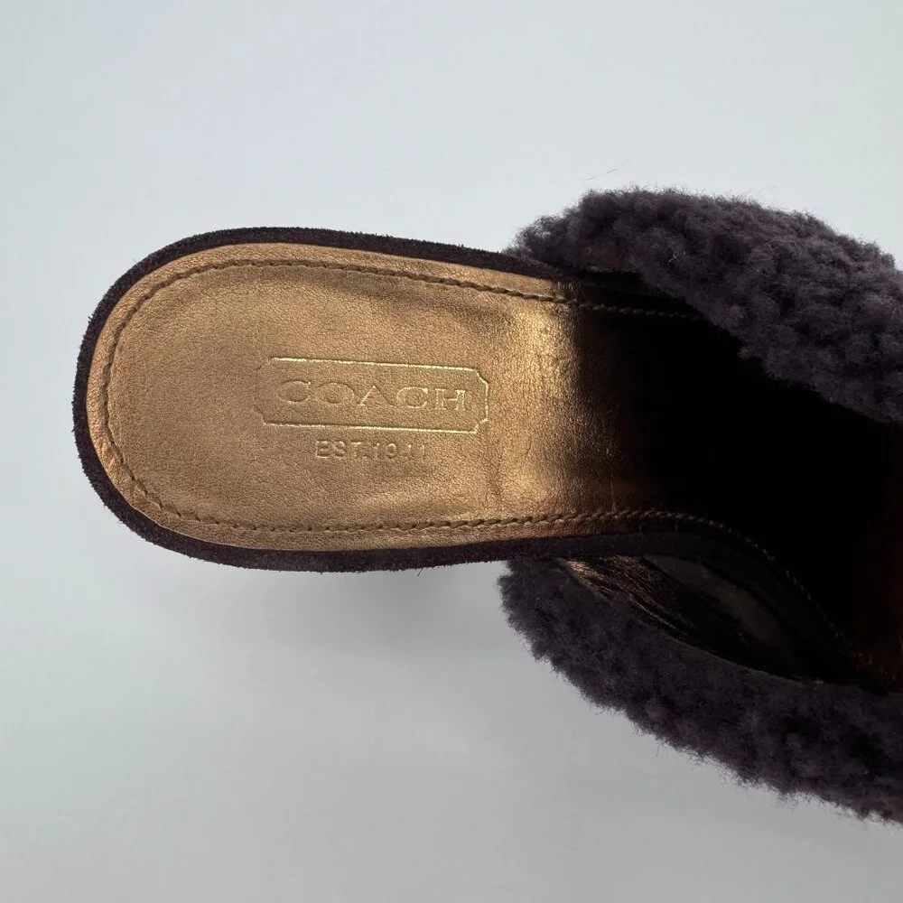 Coach Women’s 7 Brown Suede Shearling Idyle Wooden Heels Clogs Gold Buckle Mules